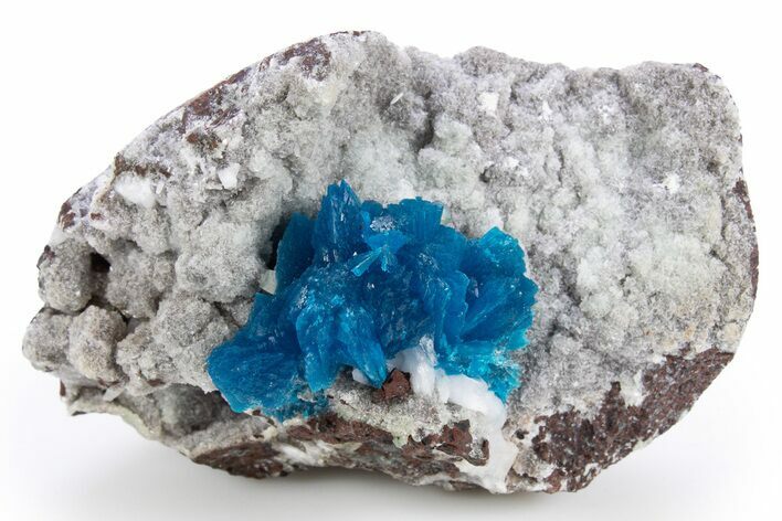 Vibrant Blue Cavansite Cluster on Stilbite - India #306055